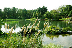 广州海珠国家湿地公园