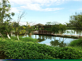 广州南沙湿地公园