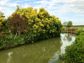 广州南沙湿地公园