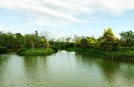 广州南沙湿地公园