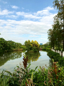 广州南沙湿地公园