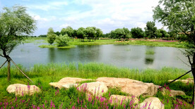 黑龙江哈尔滨松江湿地