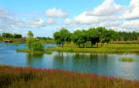中国湿地风光 二