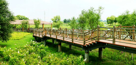 黑龙江哈尔滨松江湿地0