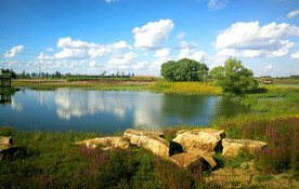 黑龙江哈尔滨松江湿地