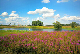 黑龙江哈尔滨松江湿地