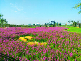 黑龙江哈尔滨松江湿地