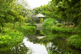 广州海珠国家湿地公园