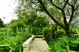 广州海珠国家湿地公园