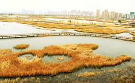 黑龙江哈尔滨松江湿地