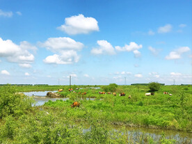 黑龙江鹤岗嘟噜河湿地