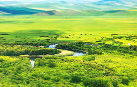 内蒙古根河湿地公园