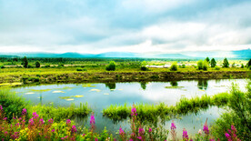 内蒙古根河湿地公园