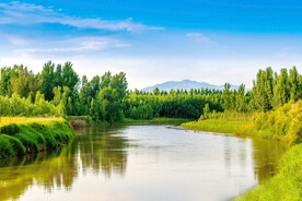 山西稷山汾河国家湿地公园