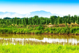 山西稷山汾河国家湿地公园