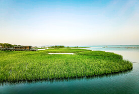 苏苏州太湖国家湿地公园