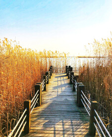 江苏苏州太湖国家湿地公园