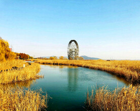 江苏苏州太湖国家湿地公园