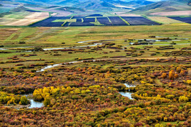 内蒙古根河湿地公园