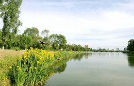 山西太原汾河湿地公园