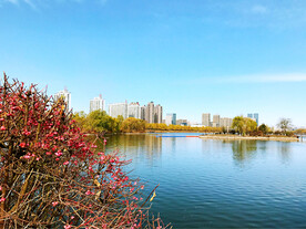 山西太原汾河湿地公园