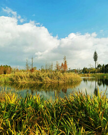 云南昆明海洪湿地公园