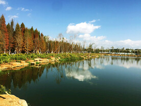 云南昆明海洪湿地公园