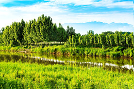 山西稷山汾河国家湿地公园