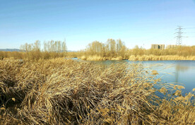 山西太原汾河湿地公园