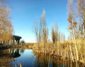 山西太原汾河湿地公园