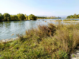 山西太原汾河湿地公园