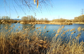 山西太原汾河湿地公园