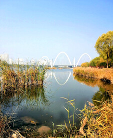 山西太原汾河湿地公园