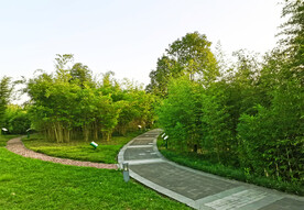 四川眉山青神竹林湿地公园