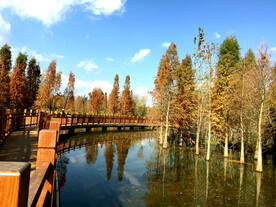 云南昆明海洪湿地公园