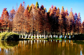 云南昆明海洪湿地公园