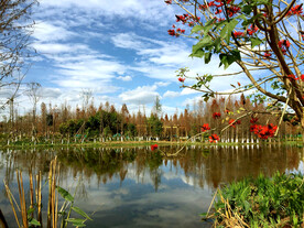 云南昆明海洪湿地公园