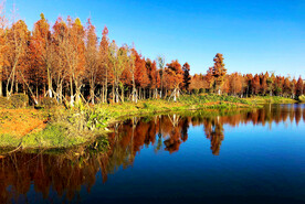 云南昆明海洪湿地公园