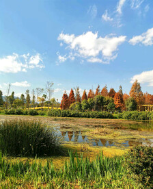 云南昆明海洪湿地公园