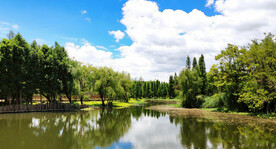 云南昆明海洪湿地公园