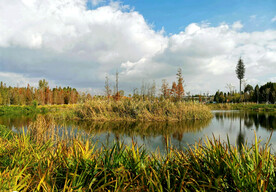 云南昆明海洪湿地公园