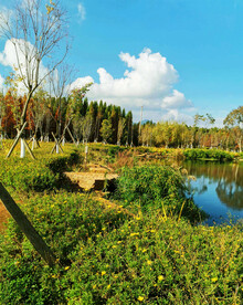 云南昆明海洪湿地公园