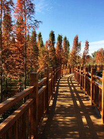 云南昆明海洪湿地公园