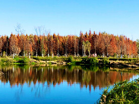 云南昆明海洪湿地公园