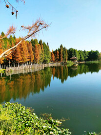 云南昆明海洪湿地公园