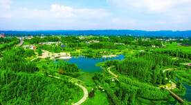 四川眉山青神竹林湿地公园