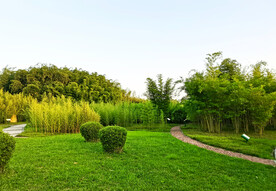 四川眉山青神竹林湿地公园