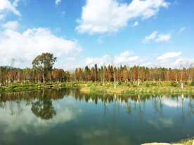 云南昆明海洪湿地公园