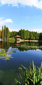 云南昆明海洪湿地公园