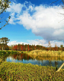 云南昆明海洪湿地公园